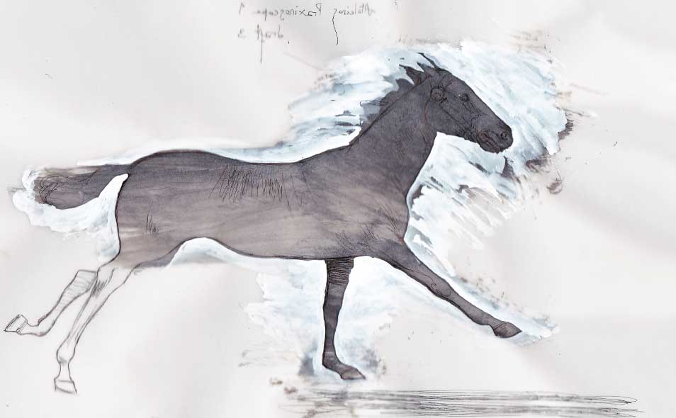 Praxinoscope illustration - Galloping horse rough - Ink drawing on paper